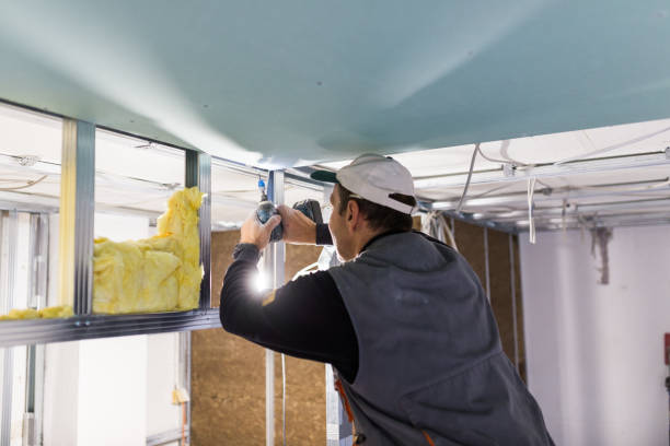 Best Insulation Maintenance and Repair in Lacoste, TX